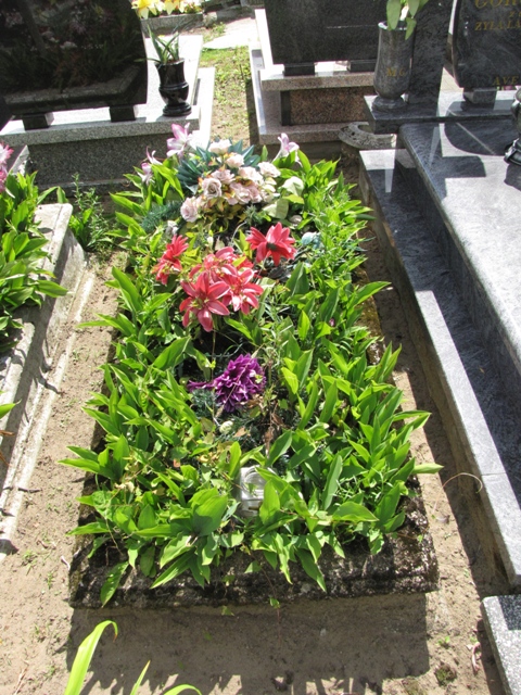 Stanisława Olszewska 1937 Lipno - Grobonet - Wyszukiwarka osób pochowanych