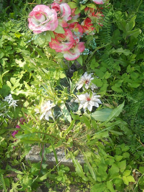 NN  Lipno - Grobonet - Wyszukiwarka osób pochowanych