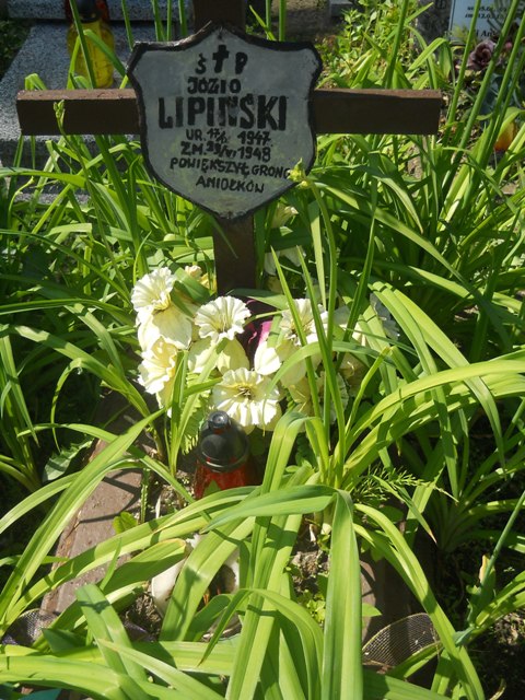 Józio Lipiński 1947 Lipno - Grobonet - Wyszukiwarka osób pochowanych