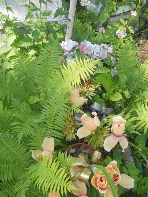 NN  Lipno - Grobonet - Wyszukiwarka osób pochowanych