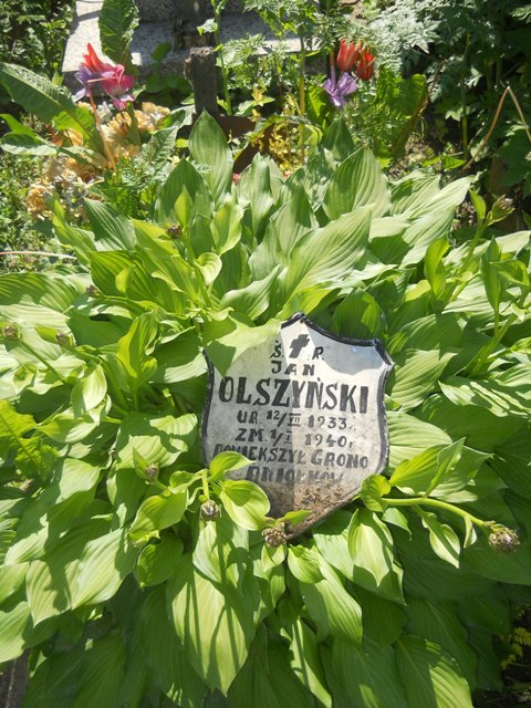 Jan Olszyński 1933 Lipno - Grobonet - Wyszukiwarka osób pochowanych