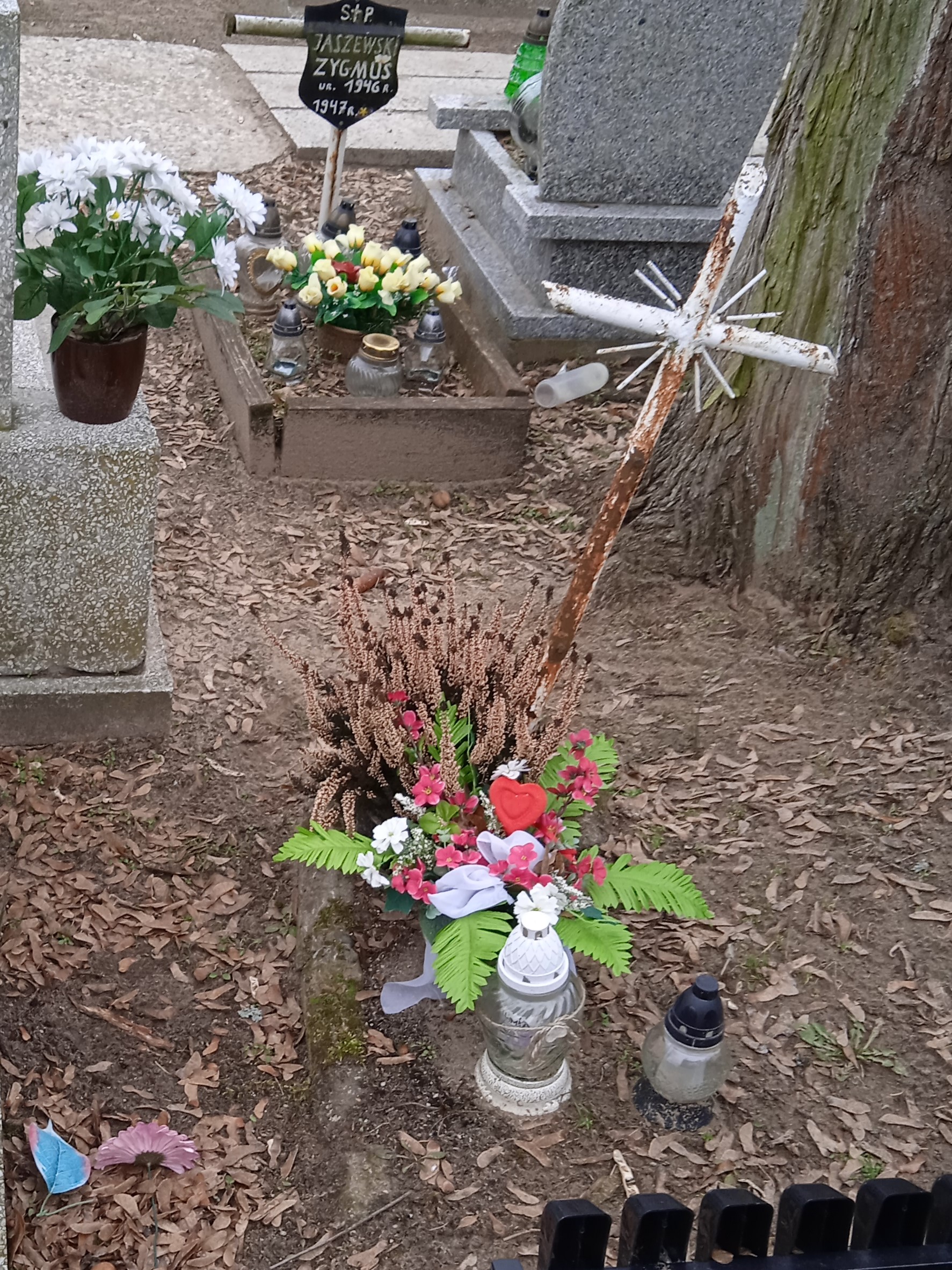 NN  Lipno - Grobonet - Wyszukiwarka osób pochowanych