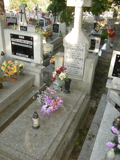 Maria Cackowska Lipno - Grobonet - Wyszukiwarka osób pochowanych