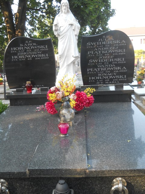 Julia Świderska Lipno - Grobonet - Wyszukiwarka osób pochowanych