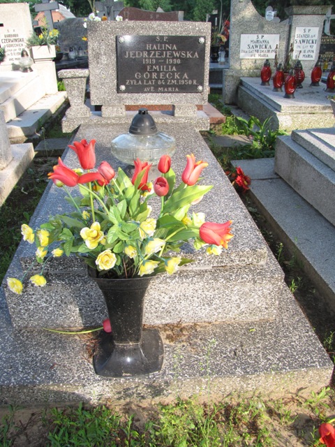 Emilia Górecka Lipno - Grobonet - Wyszukiwarka osób pochowanych